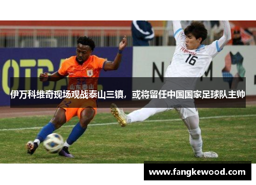 伊万科维奇现场观战泰山三镇，或将留任中国国家足球队主帅