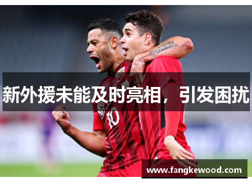 新外援未能及时亮相，引发困扰
